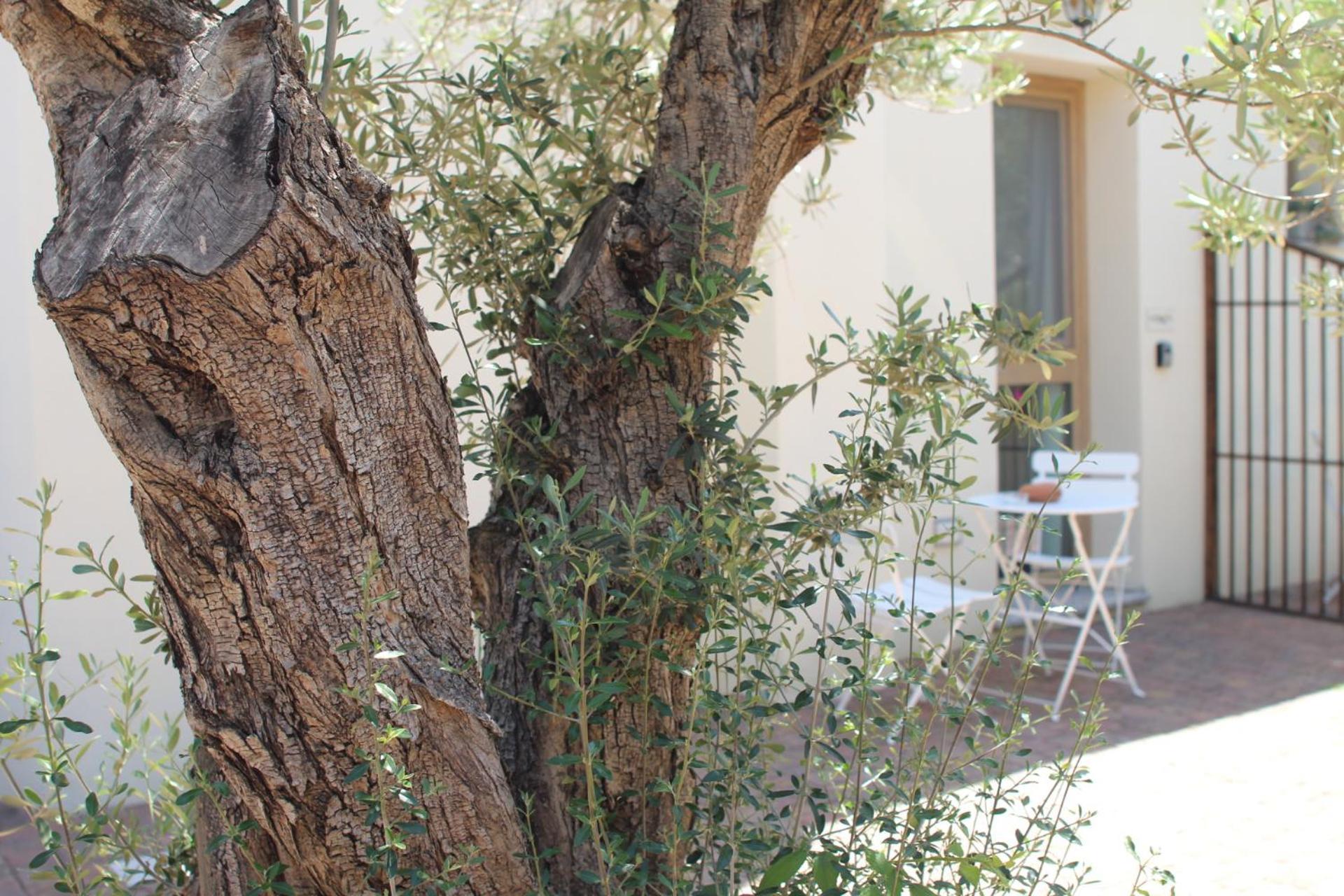 Giobo Rooms Siniscola Εξωτερικό φωτογραφία
